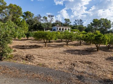 Casa rustica con giardino in vendita a Algaida