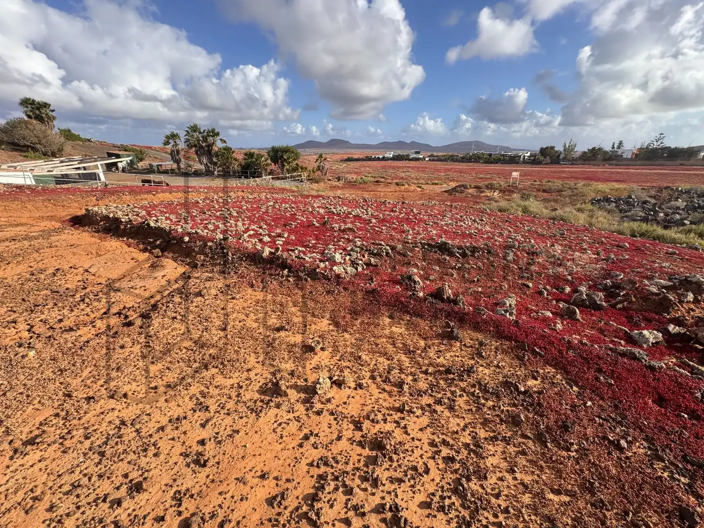 Terreno en venta en La Oliva