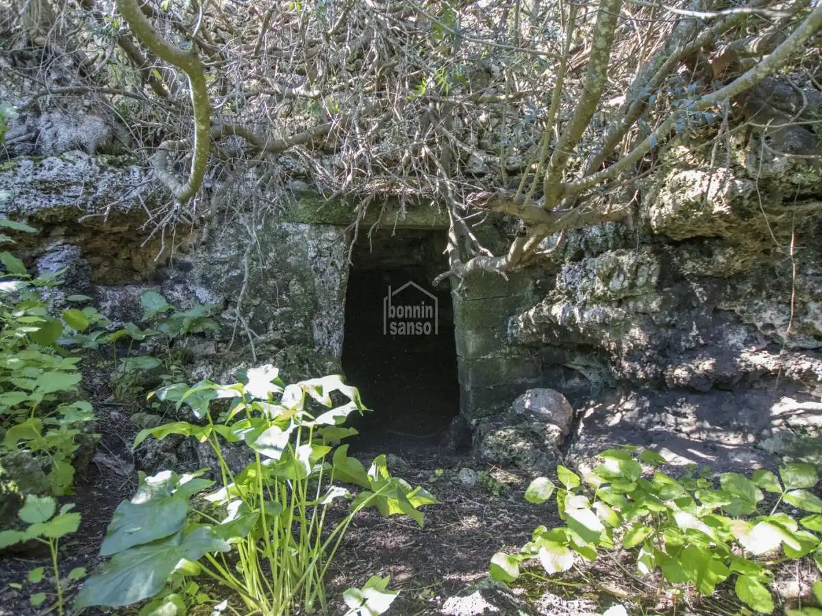 Casa rústica amb jardí en venda a Sant Climent - Es Canutells, imagen 59