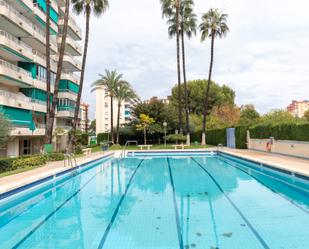 Swimming pool of Apartment to rent in Gandia  with Terrace