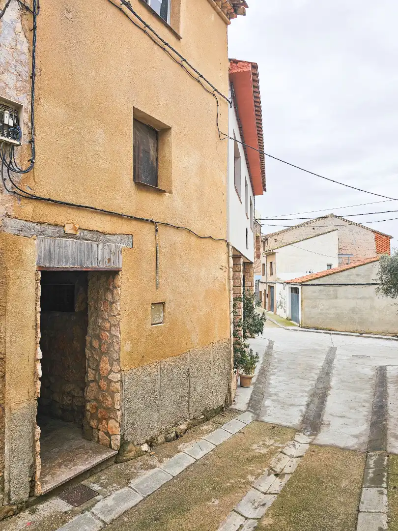 Exterior view of Houses for sale in Velilla de Ebro  with Terrace