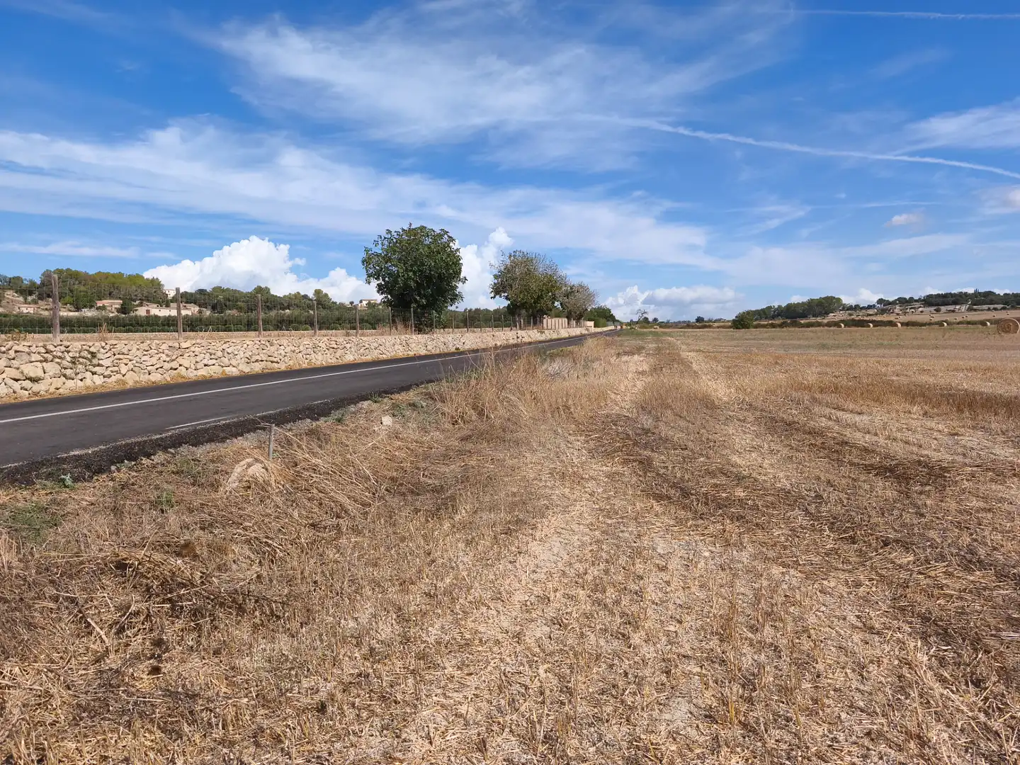 Terreno rustico in vendita a Diseminado Varis 217, imagen 5
