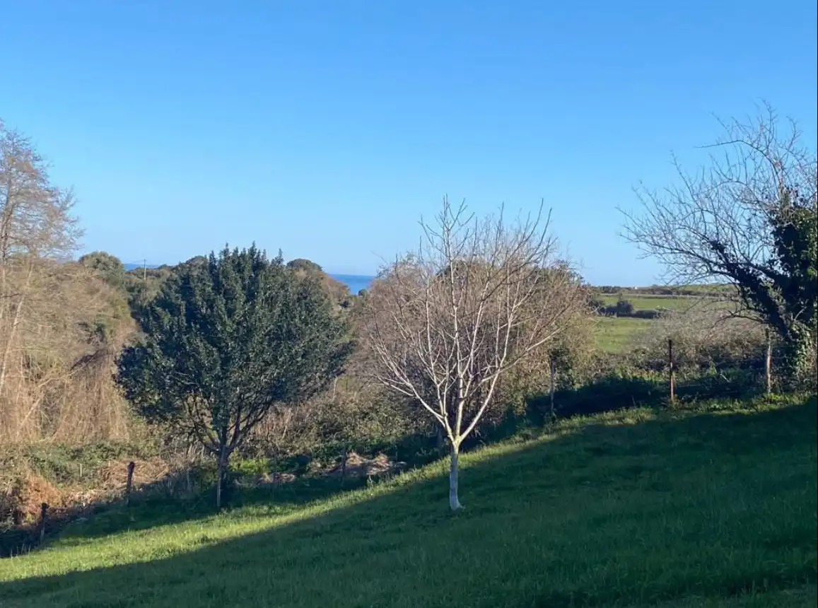 Residencial en venda en Val de San Vicente 