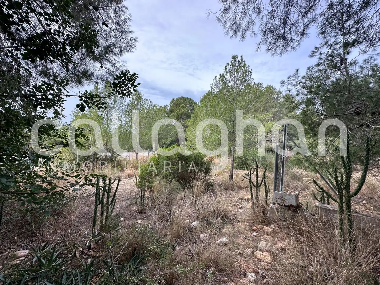 Terreny residencial en venda a Calle ESPARVER, imagen 3