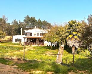 Jardí de Finca rústica en venda en Maçanet de la Selva amb Calefacció, Jardí privat i Terrassa