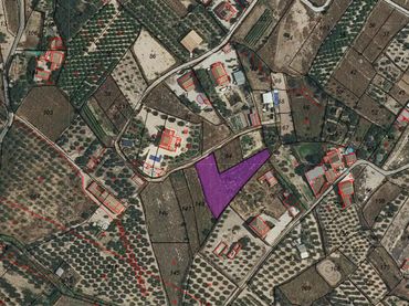 Terrenos y solares en venta en Pliego