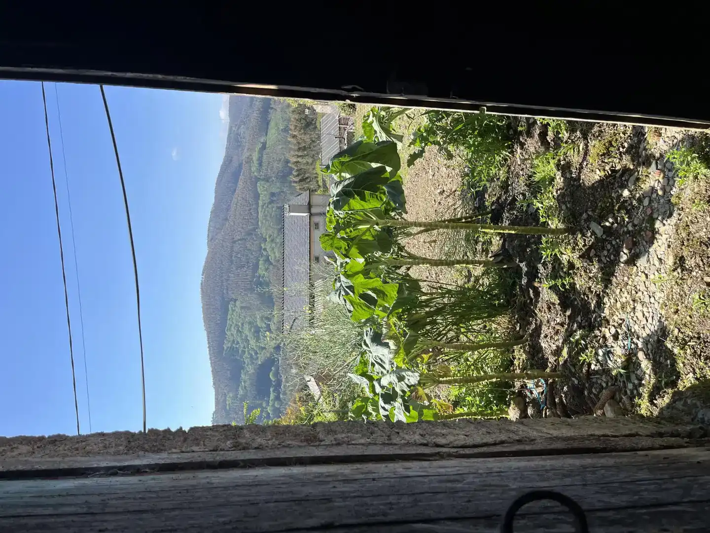 Jardín de Finca rústica en venta en Riotorto con Jardín privado