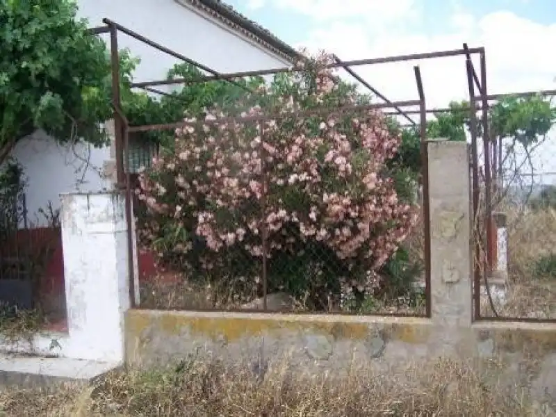 Terreni e lotti in vendita a Alcántara, imagen 12
