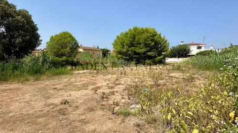 Foto 3 de Residencial en venda a Gavina, Les Salines, Castellón