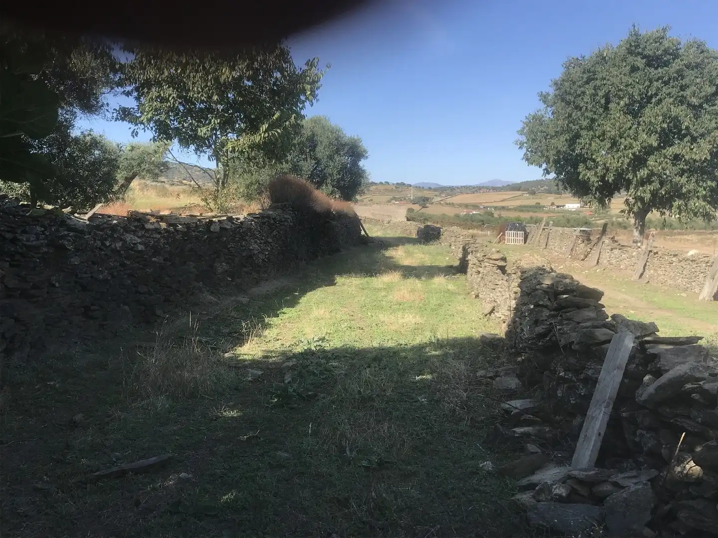 Terreni e lotti in vendita a Malpartida de Plasencia, imagen 3