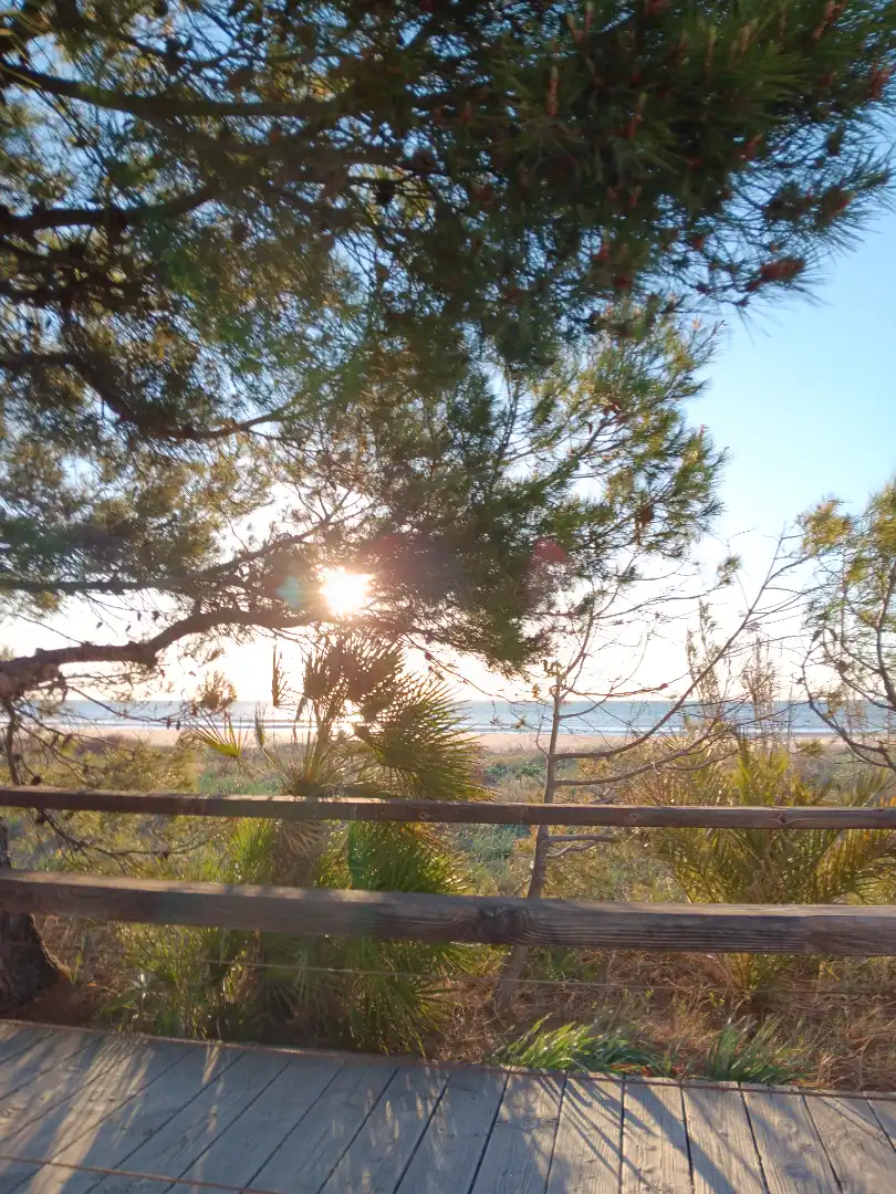 Garden of Apartments for sale in Alcalà de Xivert  with Air Conditioner, Heating and Furnished