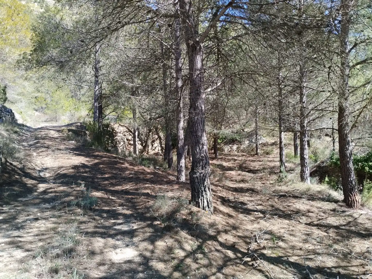 Terreno en venta en La Morera de Montsant