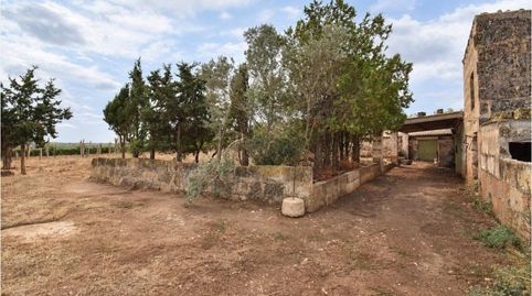 Foto 3 de Finca rústica en venta en Muro, Illes Balears