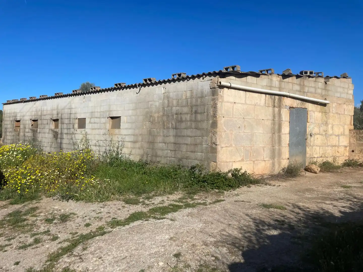 Nau industrial en venda a Carrer de Sineu, 8, Sineu