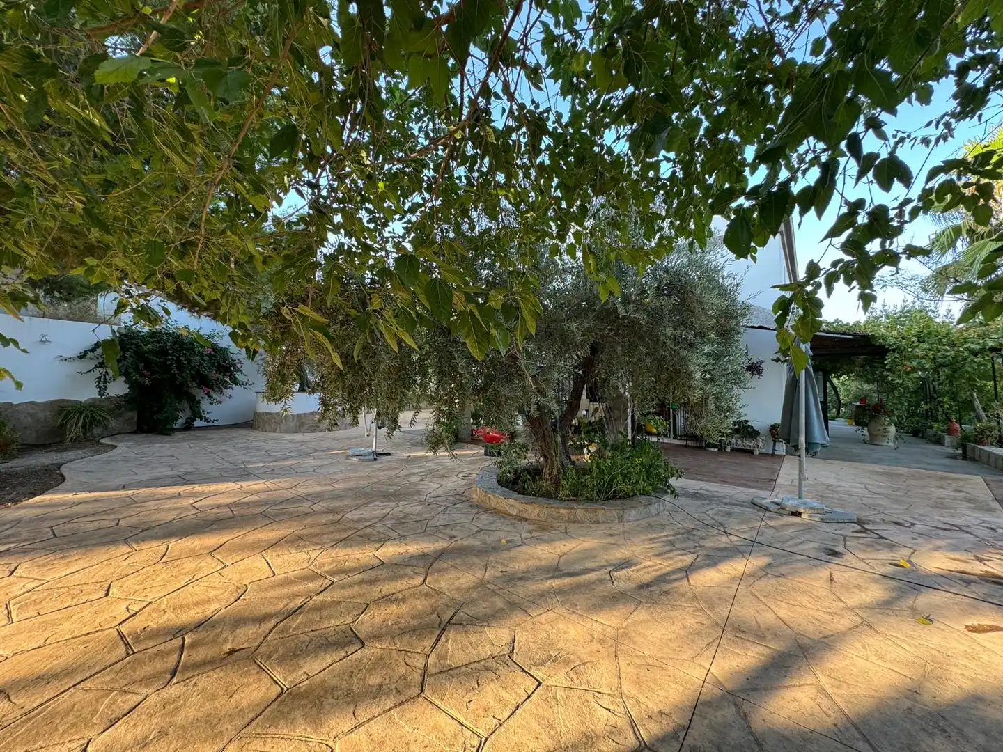 Maison à vendre à Ctra. Circunvalación - La Magdalena, imagen 15