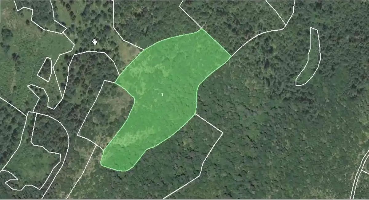 Terreno en venta en Esparza de Salazar / Espartza Zaraitzu