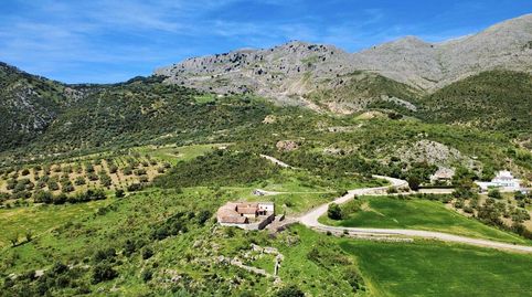 Foto 5 de Finca rústica en venta en Ma-156, 1, Periana, Málaga