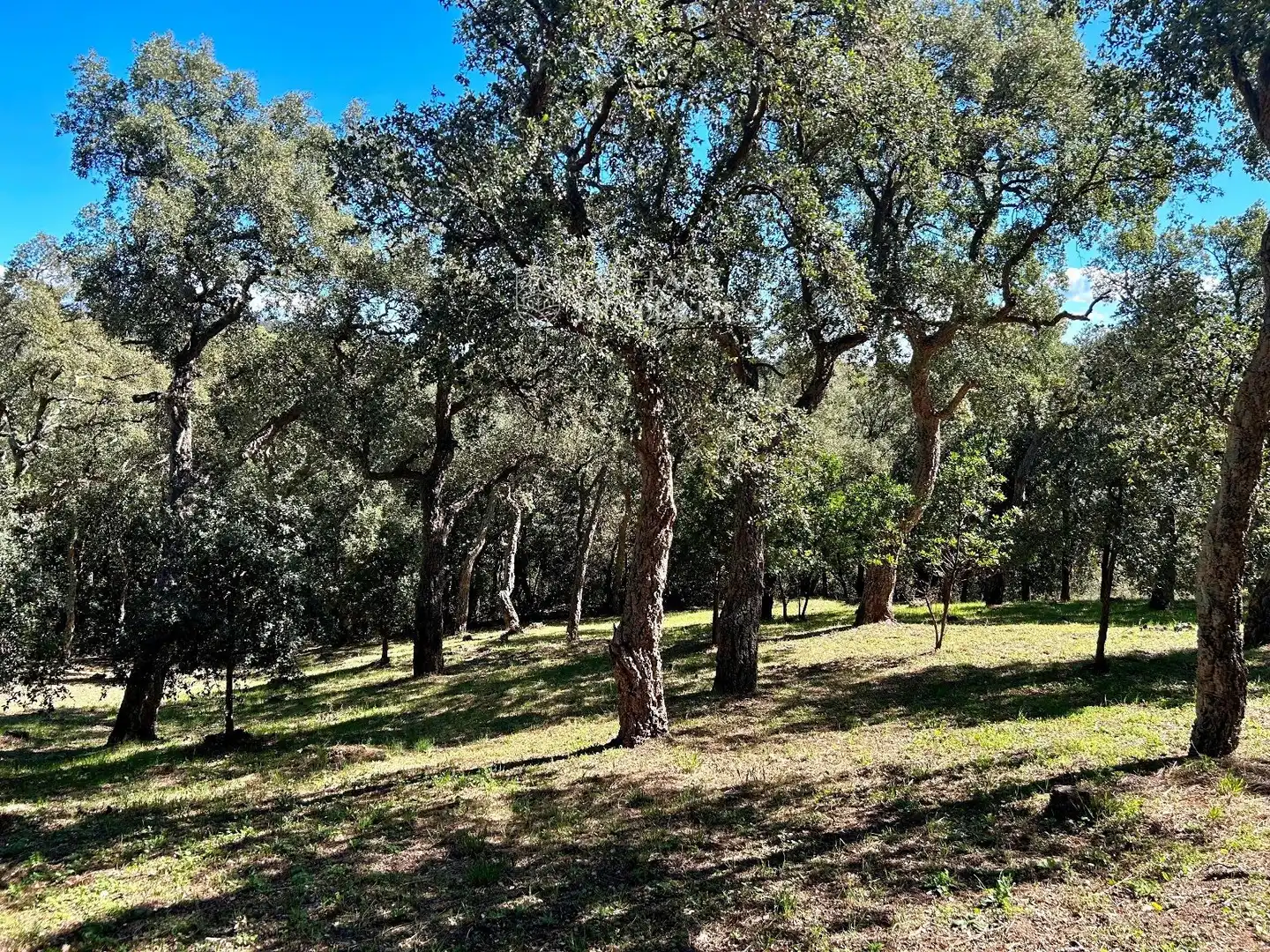 Finca rústica en venta en Darnius con Calefacción
