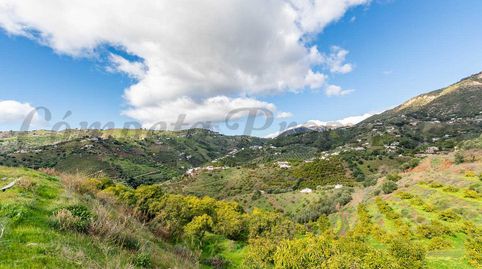 Encantadora casa de campo de 40m² con amplio terreno y aguacates., imatge 5