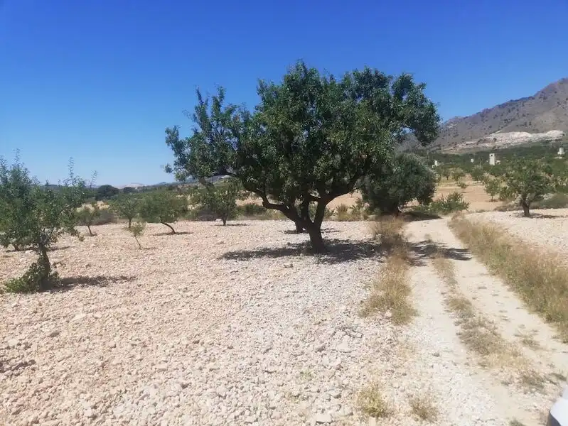Terrenys i solars en venda a El Poste. Partido De Collado Del Rey, imagen 6