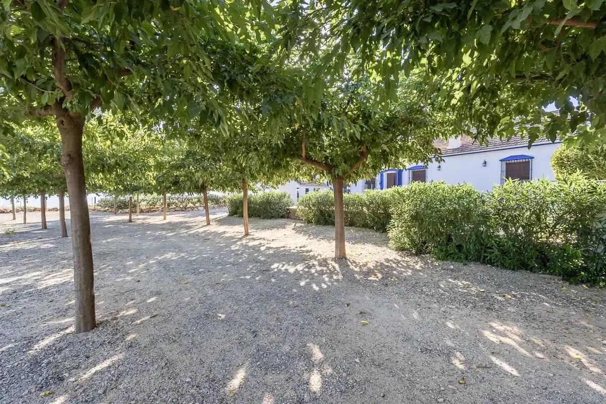 Detached house with pool for sale in Íllora, imagen 42