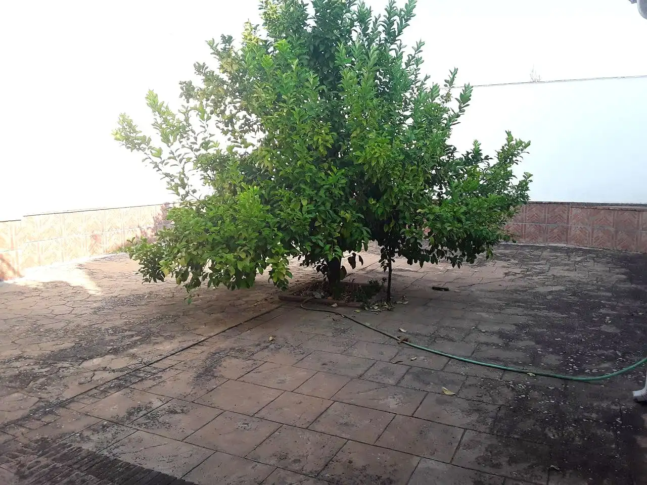 Casa o chalet en venta en Nueva Carteya con Balcón
