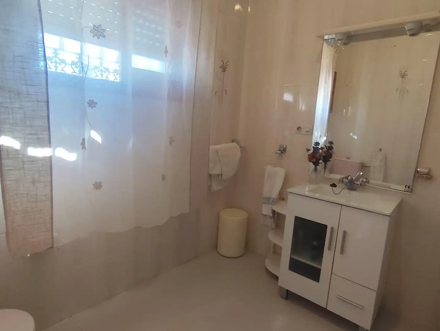 Baño de Casa o chalet en venta en Carrión de los Céspedes con Aire acondicionado, Calefacción y Jardín privado