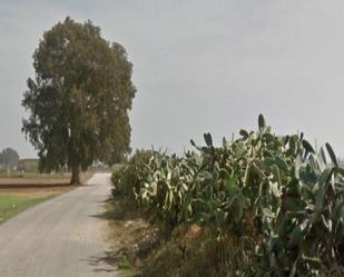 House or chalet for sale in Utrera