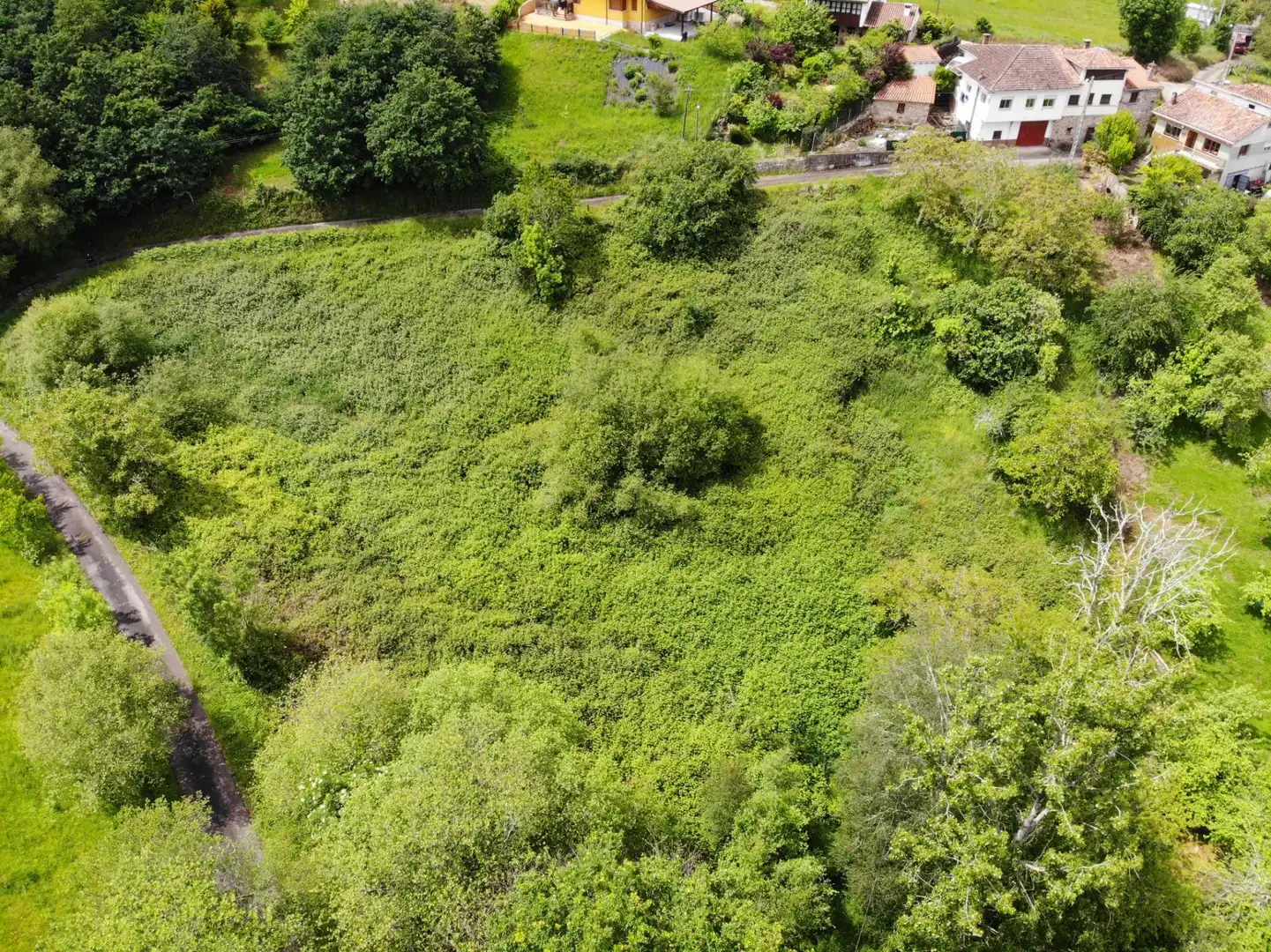 Residential for sale in Piloña