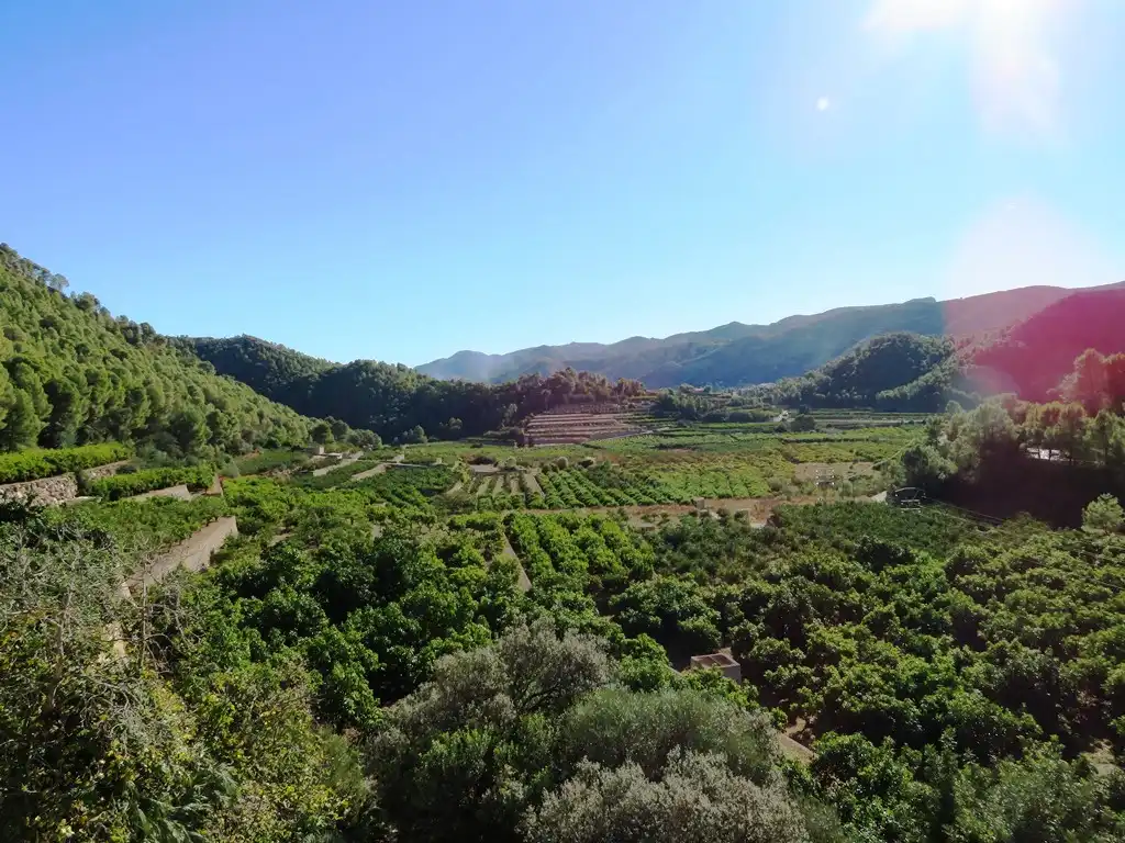 Jardí de Casa o xalet en venda en L'Atzúbia amb Jardí privat, Terrassa i Traster