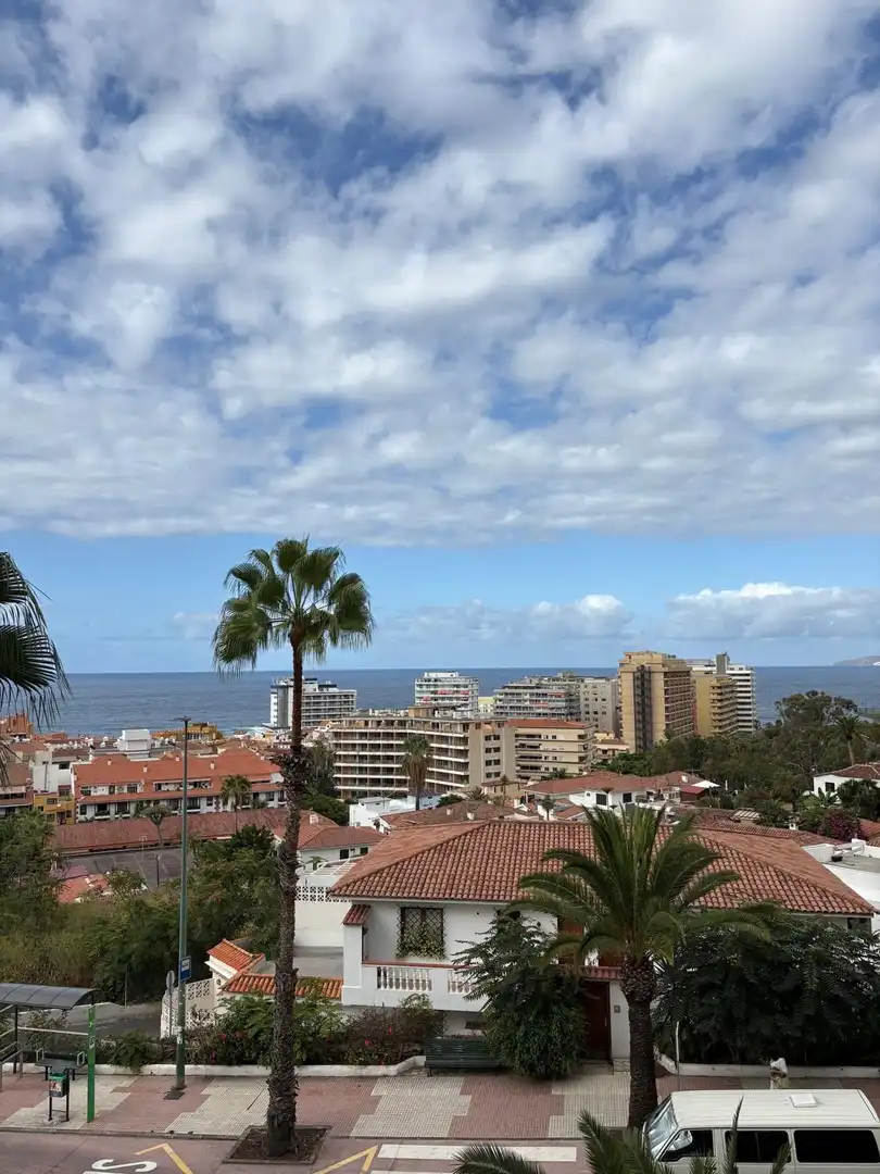 Apartment with pool to rent in Botanico, imagen 15
