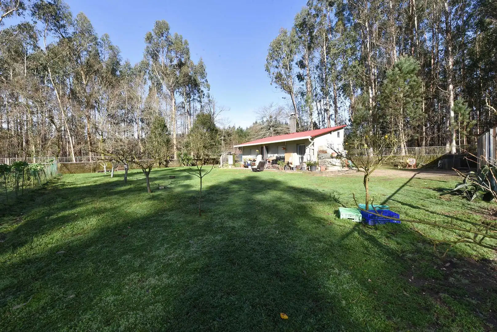 Jardín de Casa o chalet en venta en Cuntis con Jardín privado