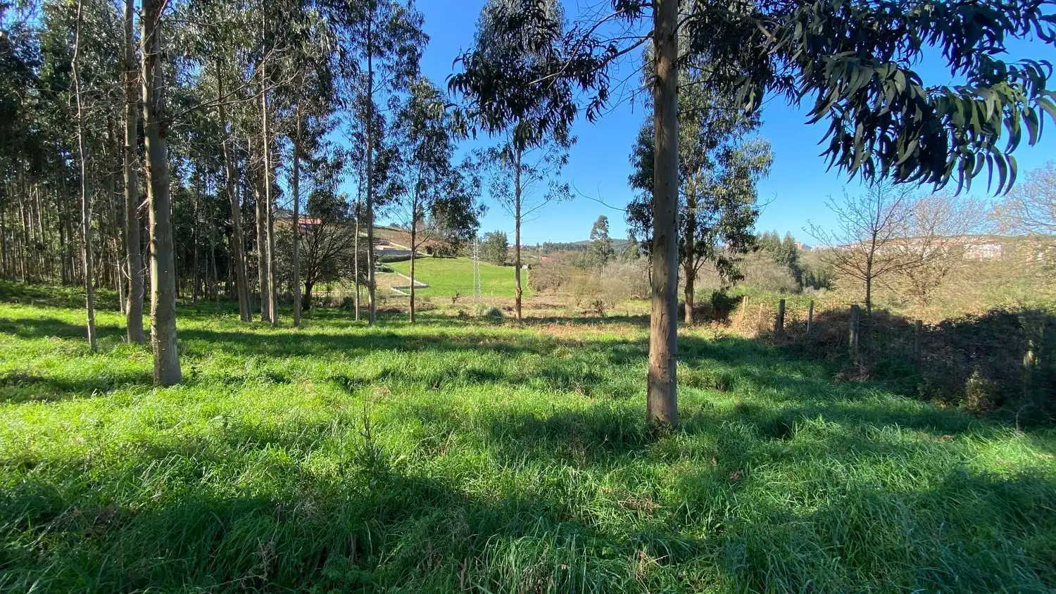 Terreni e lotti in vendita a Rúa Camiño dos Muiños 18, imagen 12