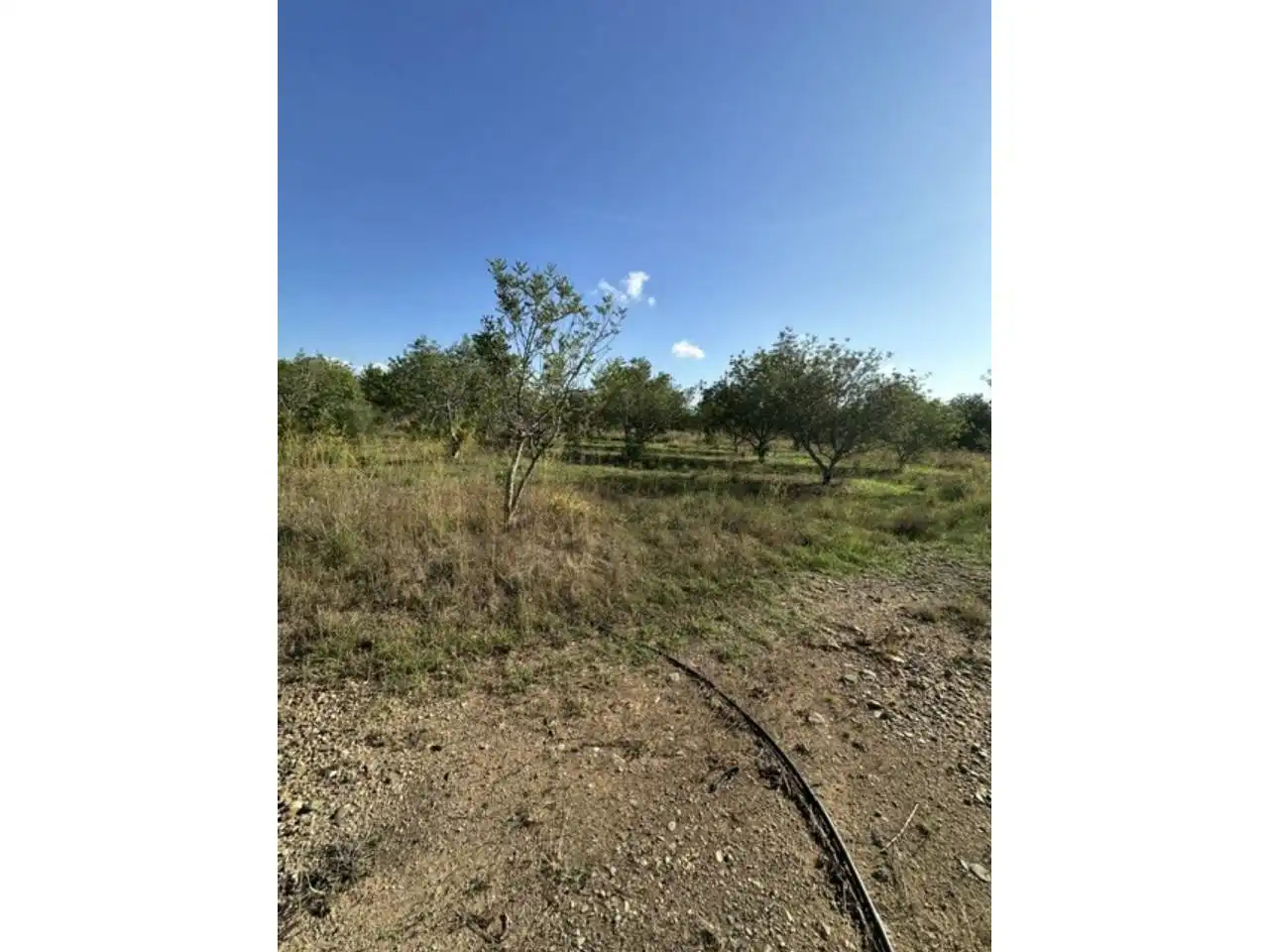 Terreno rústico en venta en Vila-seca Poble, imagen 13