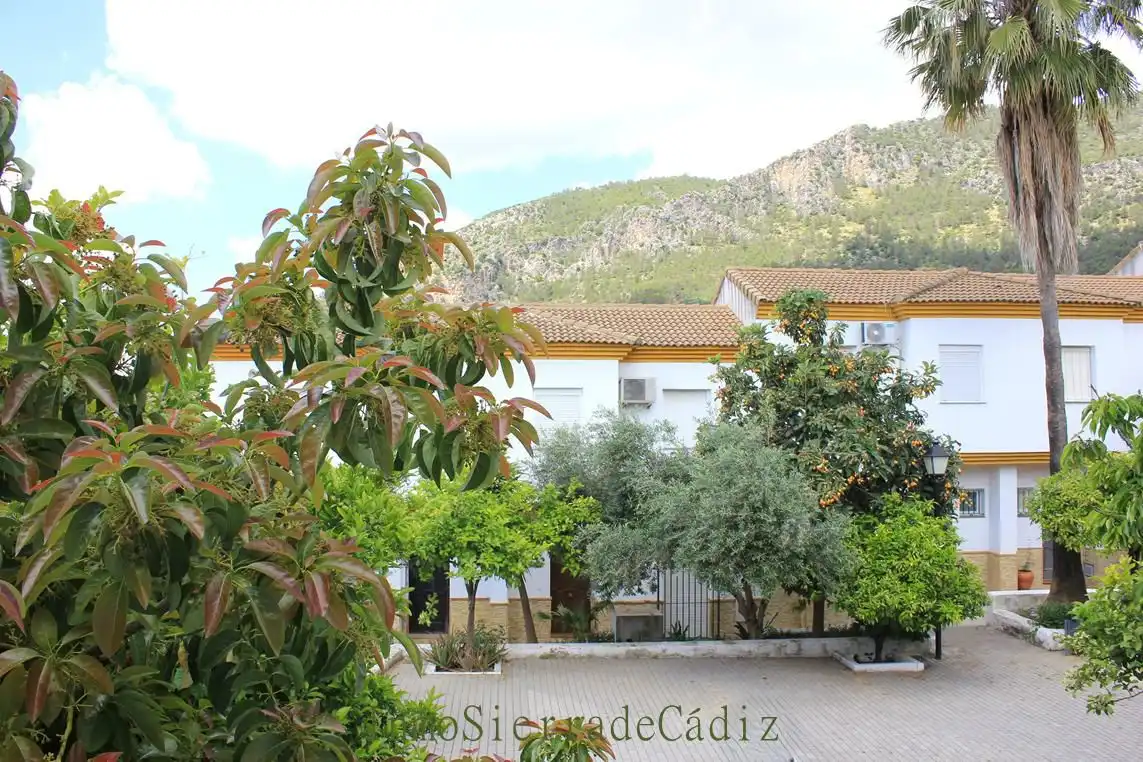 Haus zum Verkauf in Algodonales, imagen 27