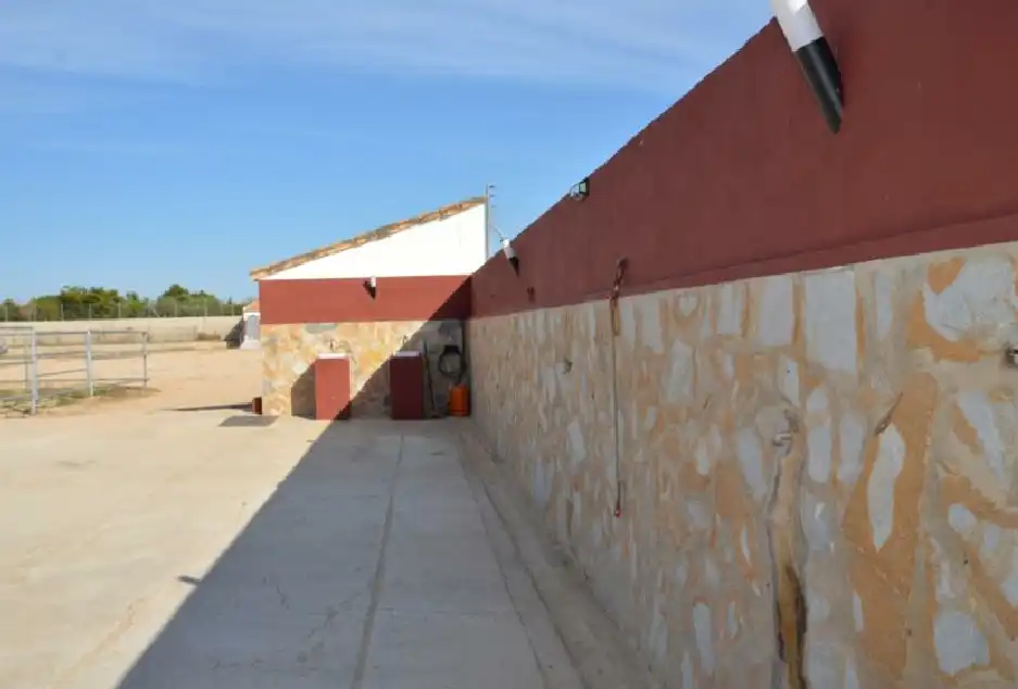 Maison rustique à vendre à San Miguel de Salinas, imagen 10