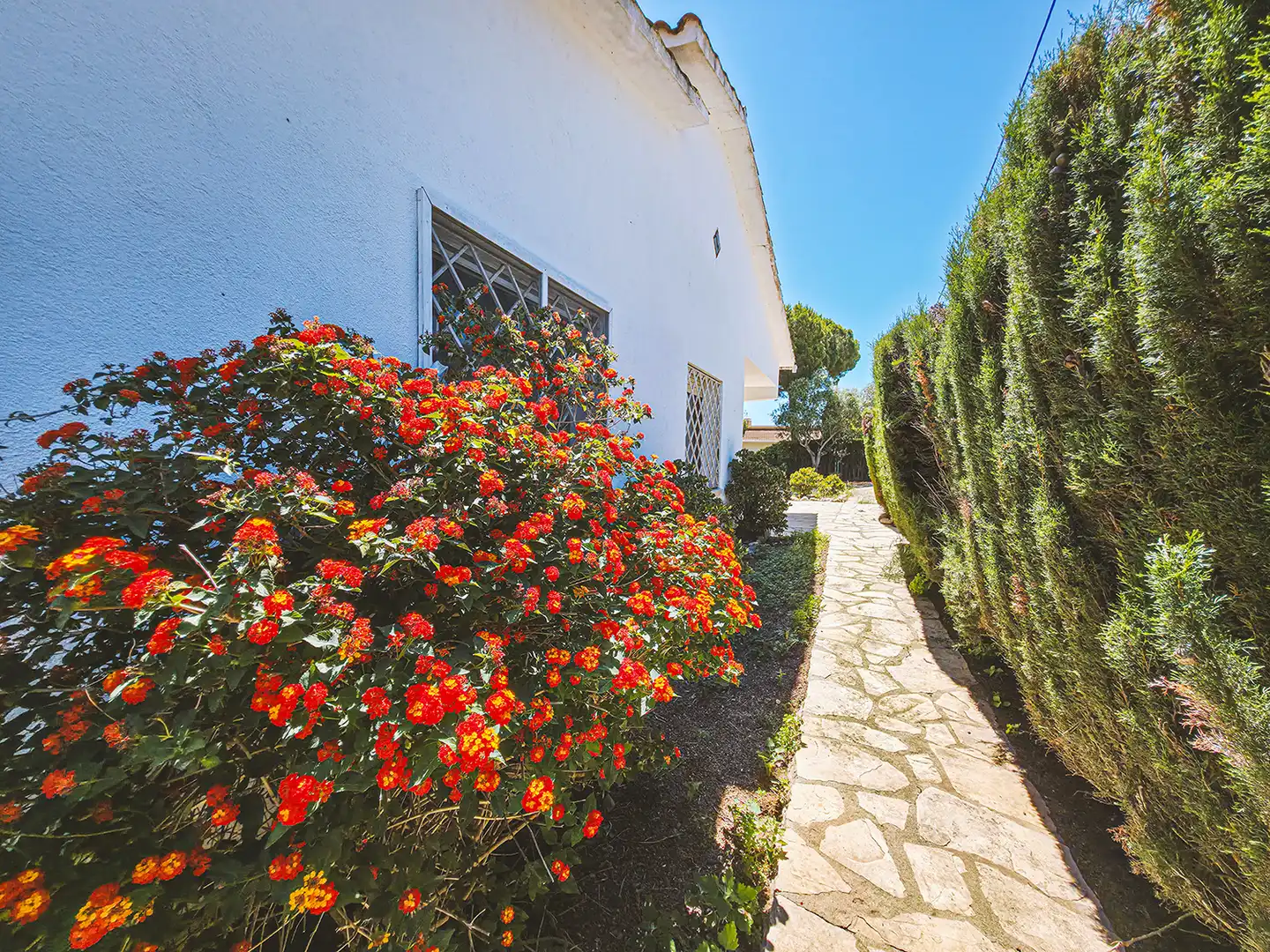 Jardí de Casa o xalet en venda en Sant Pol de Mar amb Calefacció, Jardí privat i Terrassa