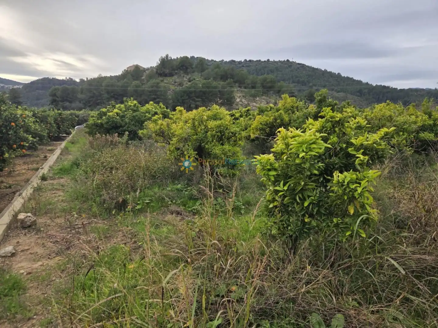 Terreno rustico in vendita a L'Alqueria de la Comtessa, imagen 2