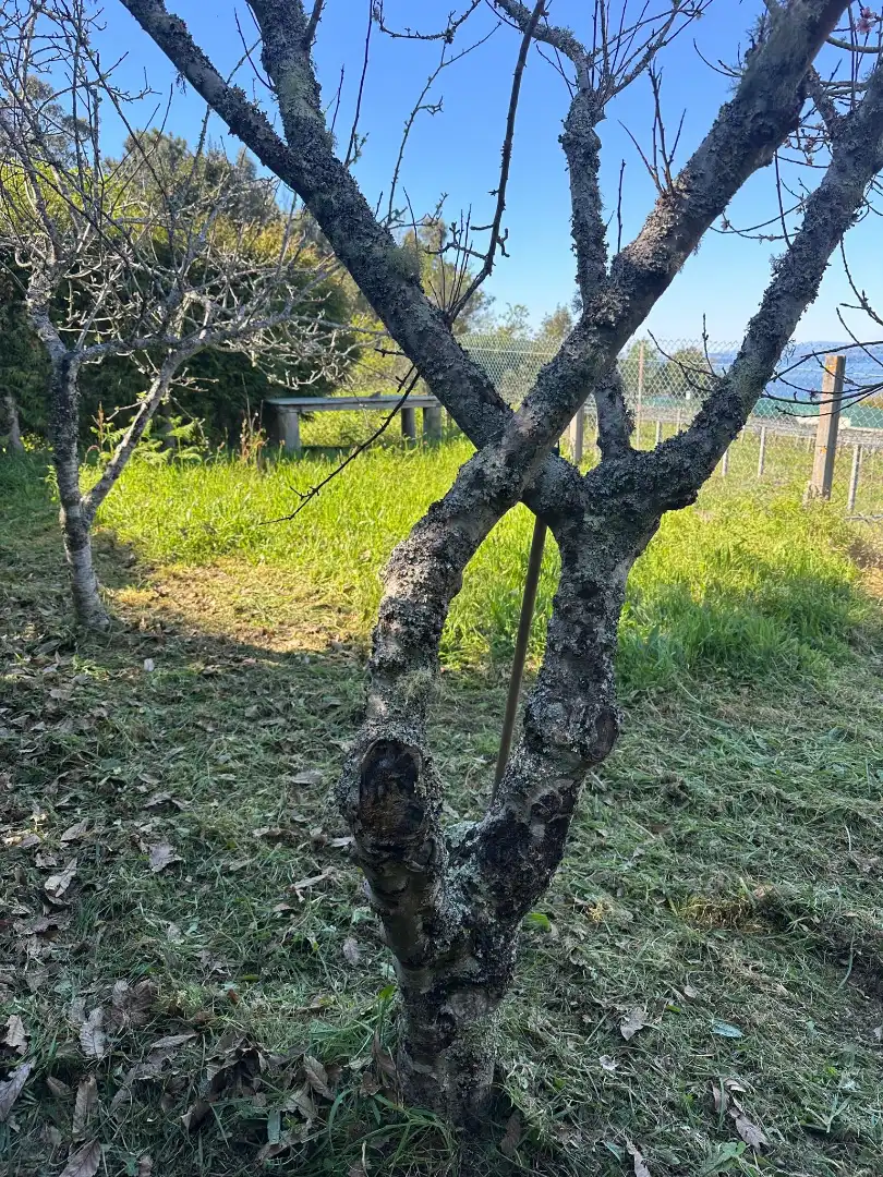 Land for sale in Estrada de Aldán, 50, Darbo