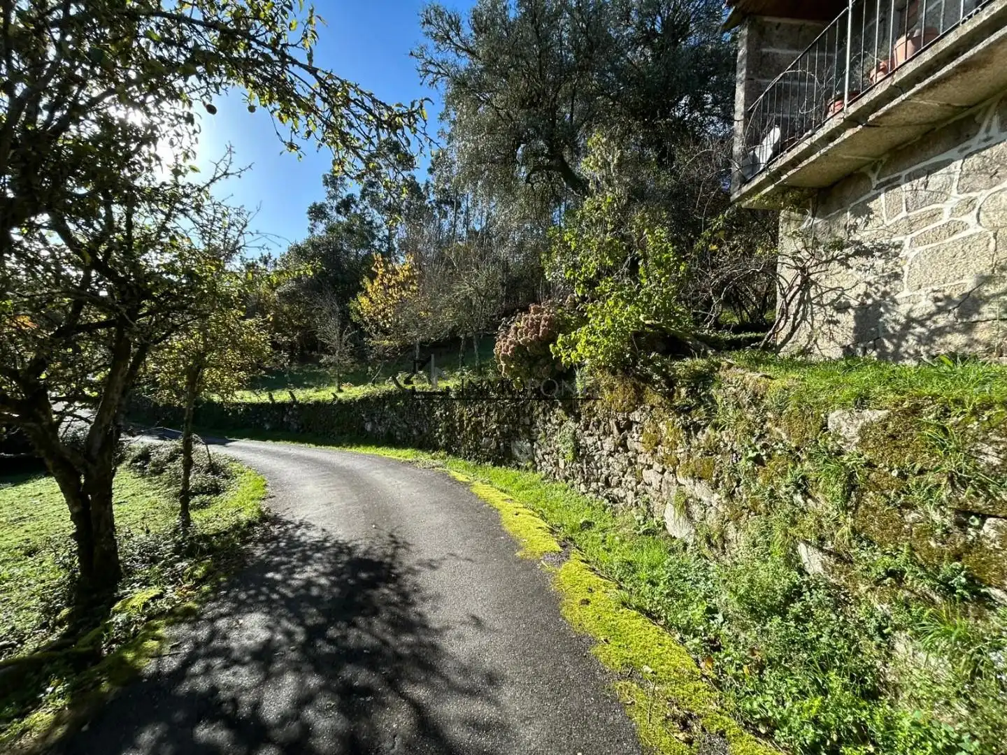 Vista exterior de Casa o xalet en venda en Cerdedo amb Jardí privat