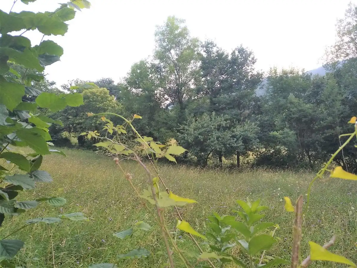 Residential land for sale in LAS CORRADAS (LA MATA)