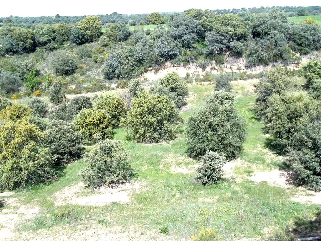 Terreni e lotti in vendita a Barbastro, imagen 3