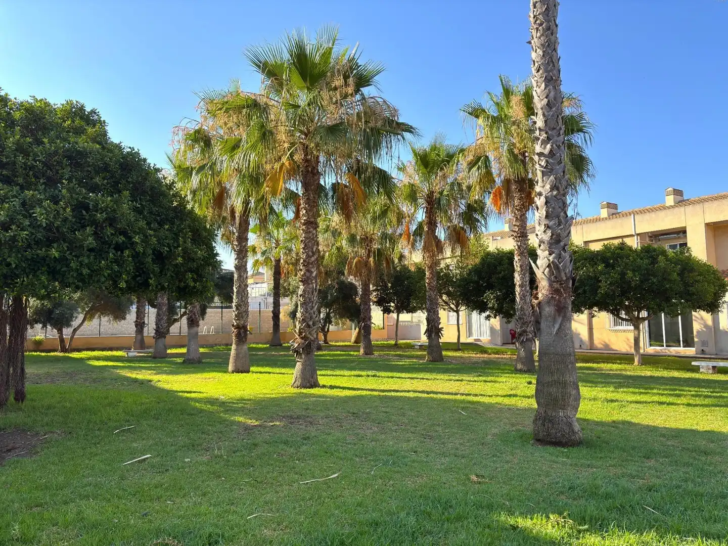 Jardí de Casa adosada en venda en Torrevieja amb Aire condicionat, Calefacció i Terrassa