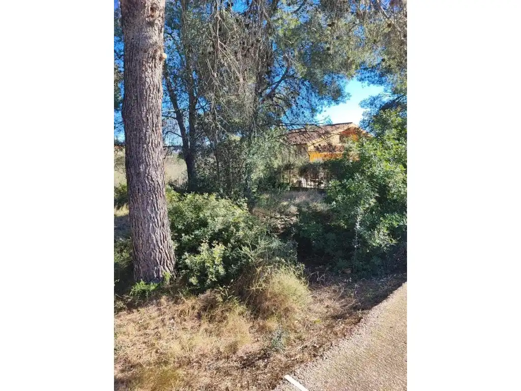 Terreno residencial en venta en Calle Ceps Dels, imagen 12