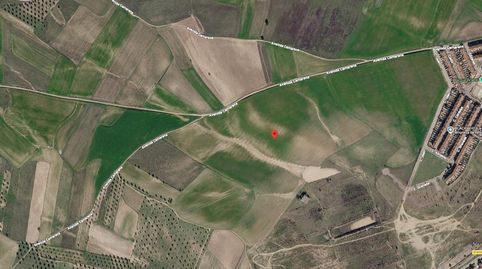 Finca Rustica de 15 has con Sondeo de Agua, imatge 4