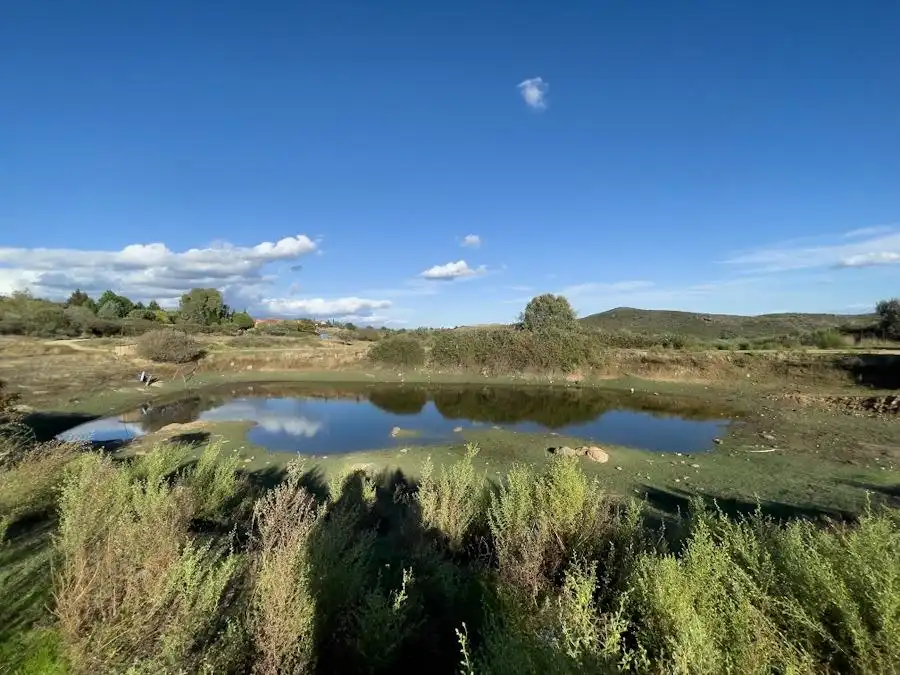 Casa rústica amb piscina en venda a Carretera Carretera de Torremenga, imagen 34