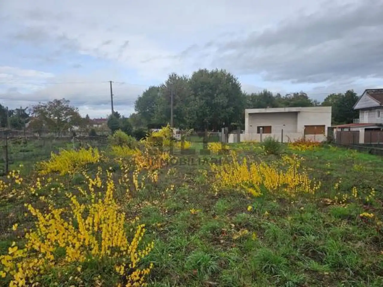 Terreni e lotti in vendita a LG. CURRÁS, imagen 5