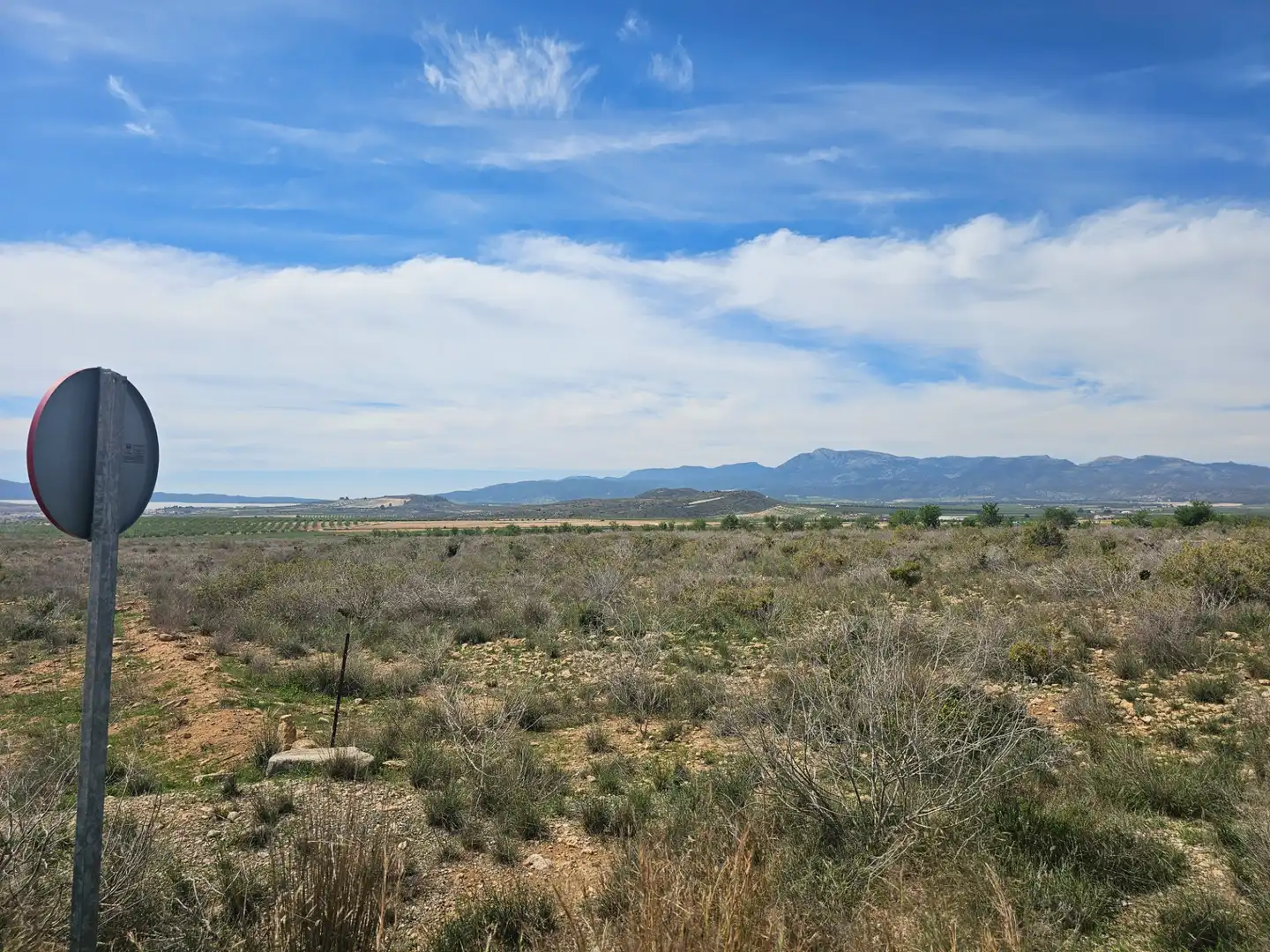 Lands and plots for sale in Mula, imagen 11