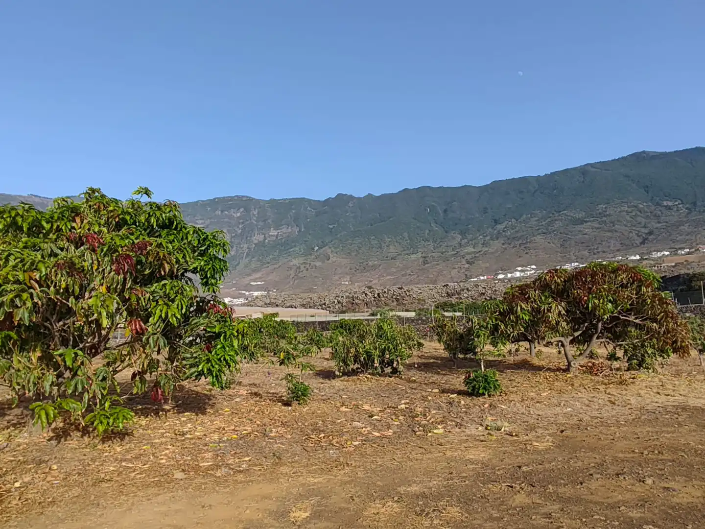 Vista exterior de Finca rústica en venta en Frontera con Terraza, Amueblado y Horno