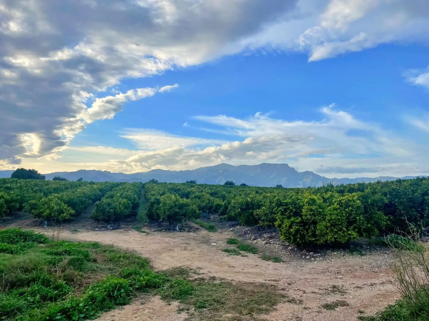 Casa o chalet en venta en Tortosa